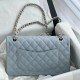 Chanel  Classic Flap Bag Medium Shoulder Bag