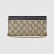 Gucci GG Marmont Chain Wallet & Handbag